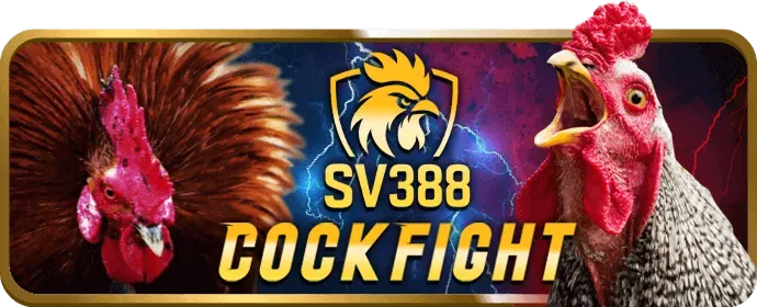 Video slot hiện đại tại 17king88 nhà cái